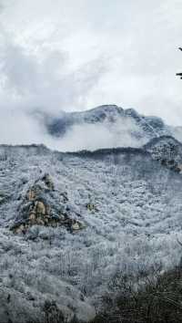 中嶽嵩山2025第一場雪