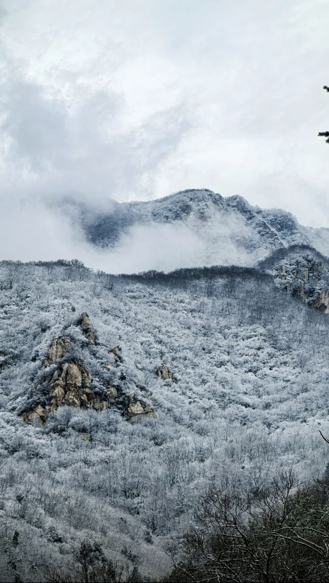 中嶽嵩山2025第一場雪