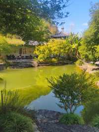 浙江衢州根宮佛國根與佛交織的夢幻之境