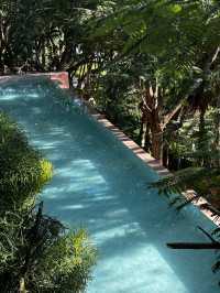 雨林野奢酒店指南