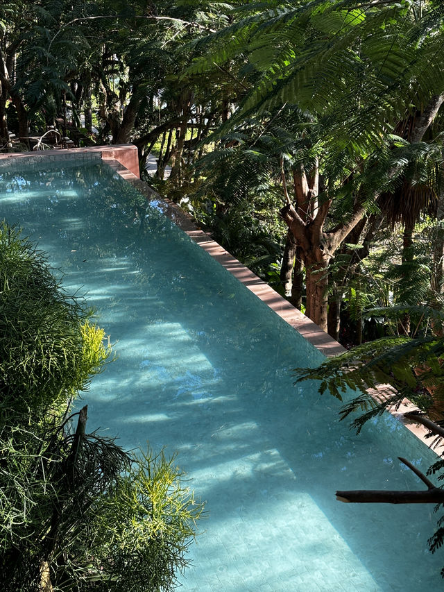 雨林野奢酒店指南 雨林野奢酒店指南