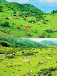 廣深徒步天花板這9座山承包全年週末快樂！