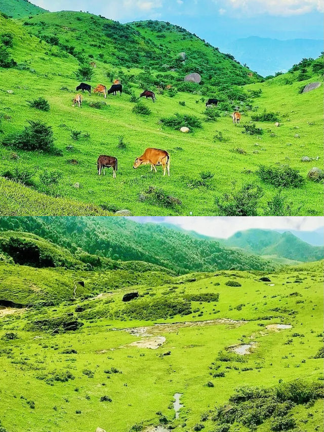 廣深徒步天花板這9座山承包全年週末快樂！