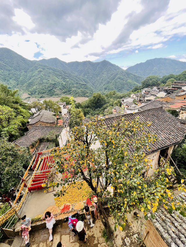 篁嶺的秋色……/與遼寧美女同行