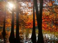 秋冬的燕雀湖美炸了～