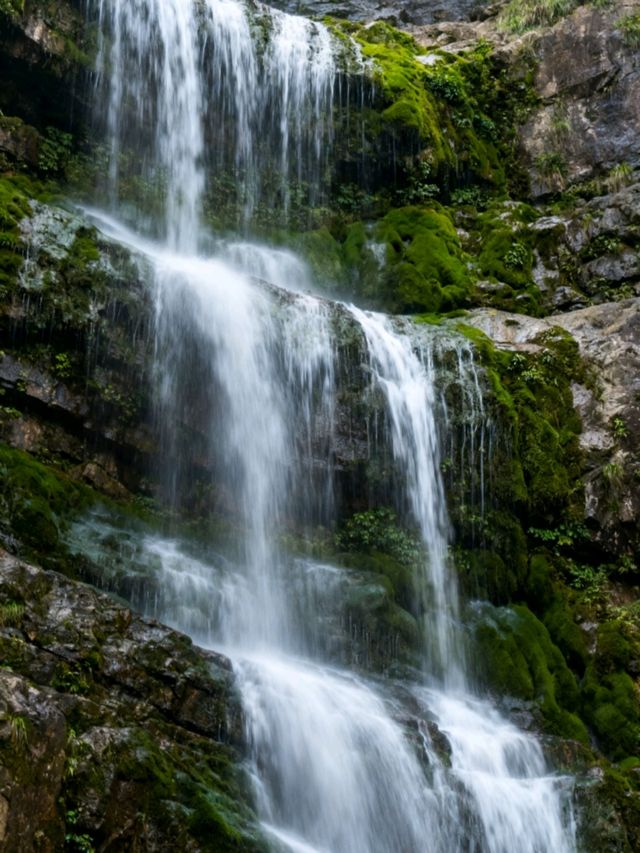 江西廬山：瀑布從雲端跌落山谷，雲霧漫過石階時，一步一景