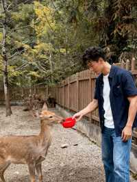 帽峰秋語：在金色秘境治癒心靈