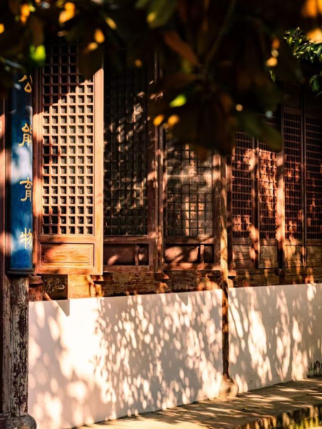 在鹽官,採集秋日金箔紙 在鹽官,採集秋日金箔紙