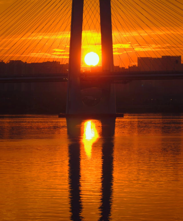 長沙湘江落日封神了!本地人私藏的橘子洲日落攻略 長沙湘江落日封神了!本地人私藏的橘子洲日落攻略