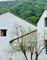 【N系列】寧波紅色團建挖到寶！