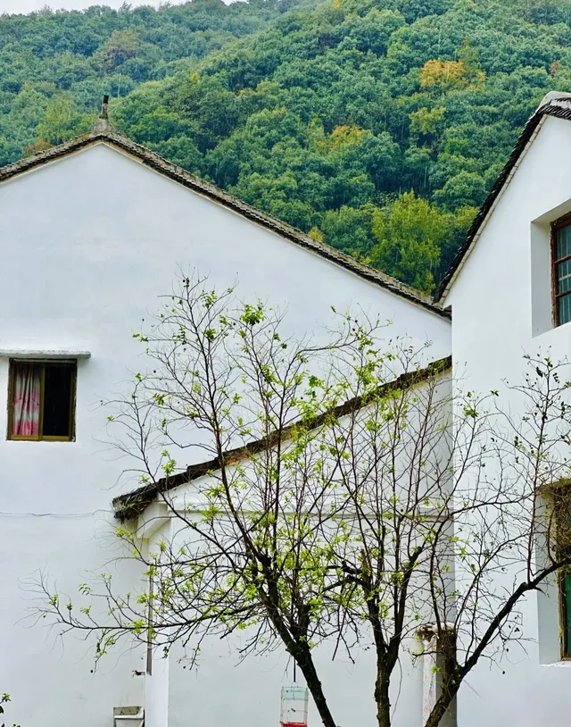 【N系列】寧波紅色團建挖到寶！