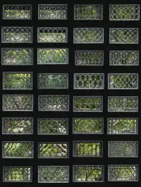 無錫蠡園隱藏的「瓦片密碼」