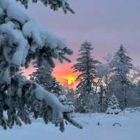 Changbai Mountain in December⭐️❄️: Sunset🌅, Snow Fun, and Magical Views 🌅❄️