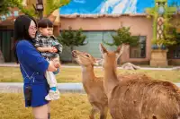 2h直達上海周邊遛娃聖地南通野生動物