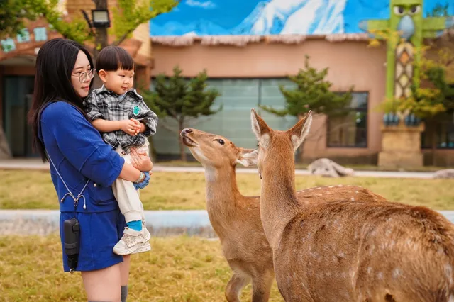2h直達上海周邊遛娃聖地南通野生動物