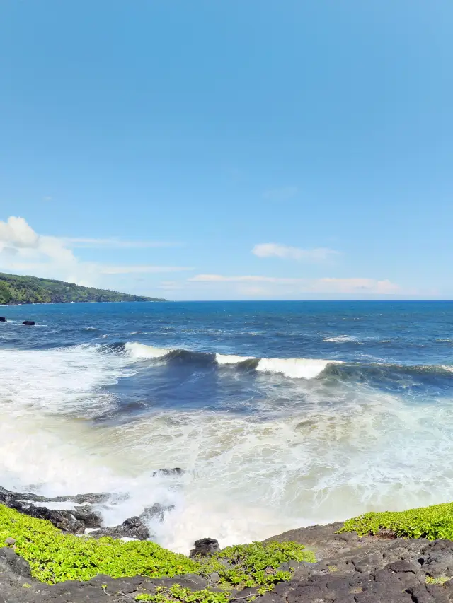 미국 1일 전세 투어, 마음 편하고 신나게 즐기기