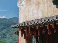 三清山血淚省力攻略｜攬五嶽之秀，藏絕景於此