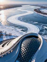 哈爾濱5日遊｜冬天這樣玩才夠爽