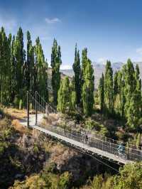 6天省心遊新西蘭南島！住星級酒店可辦簽證