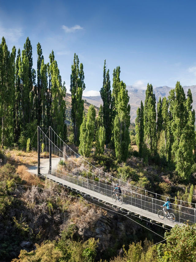 6天省心遊新西蘭南島！住星級酒店可辦簽證
