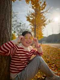 崇明島明珠湖｜秋日私藏的金色童話秘境！