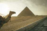 冬天埃及8日遊 這份攻略必看