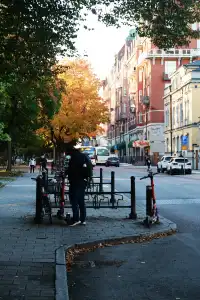 芬蘭的海｜藏在極光下的童話鬆弛感