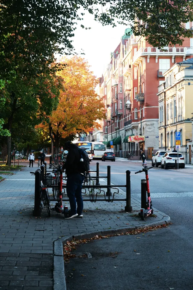 芬蘭的海｜藏在極光下的童話鬆弛感
