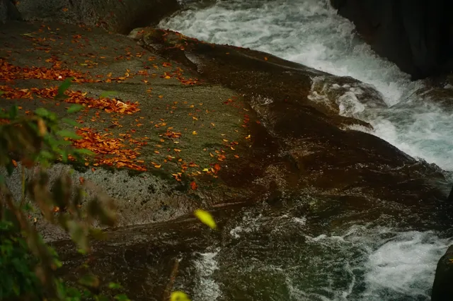 赴光霧山,收藏秋季限定浪漫 赴光霧山,收藏秋季限定浪漫