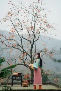 誰還沒去大貴州拍柿子？朋友問了10000次