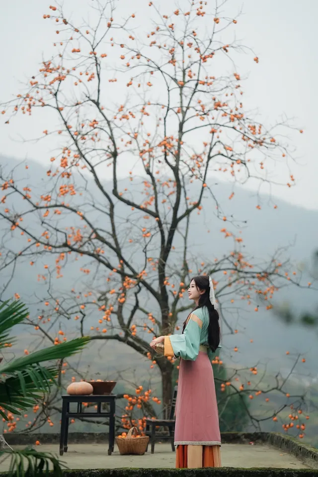 誰還沒去大貴州拍柿子？朋友問了10000次