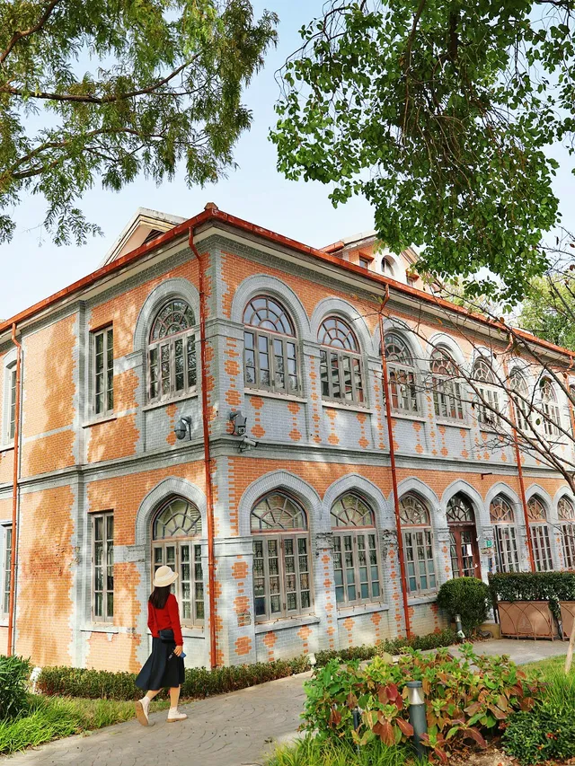 11.27這裡的絕美百年銀杏與梧桐沒人拍，快衝