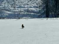 北海道冬日絕景 純白幻想曲