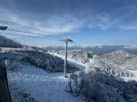 【洛陽旅行記事本】目的地性價及時令