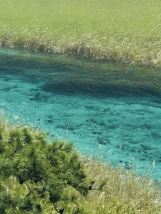 冬天九寨溝包車遊美到失語速衝
