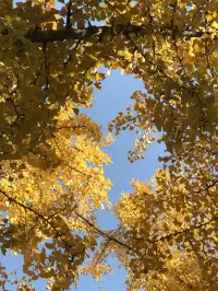 湖州我真要愛上你了...