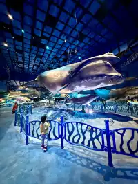 在漫天煙花下坐旋轉木馬，五天四晚玩不夠！