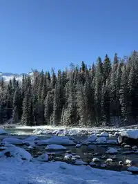 喀納斯自駕旅遊攻略11.25實況live