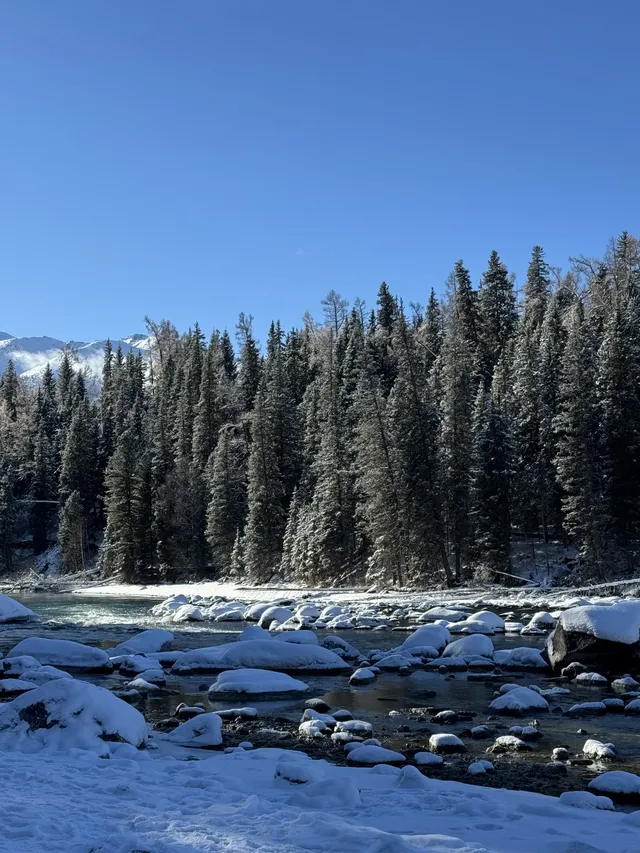 喀納斯自駕旅遊攻略11.25實況live