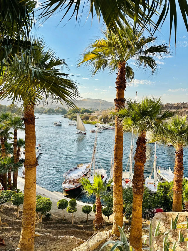 在埃及摸到了課本上的金字塔 在埃及摸到了課本上的金字塔