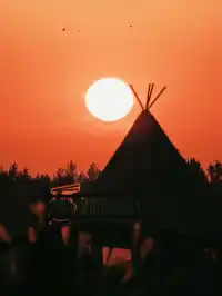 蘇州陽澄湖｜帶快樂小狗來草坪撒歡打滾