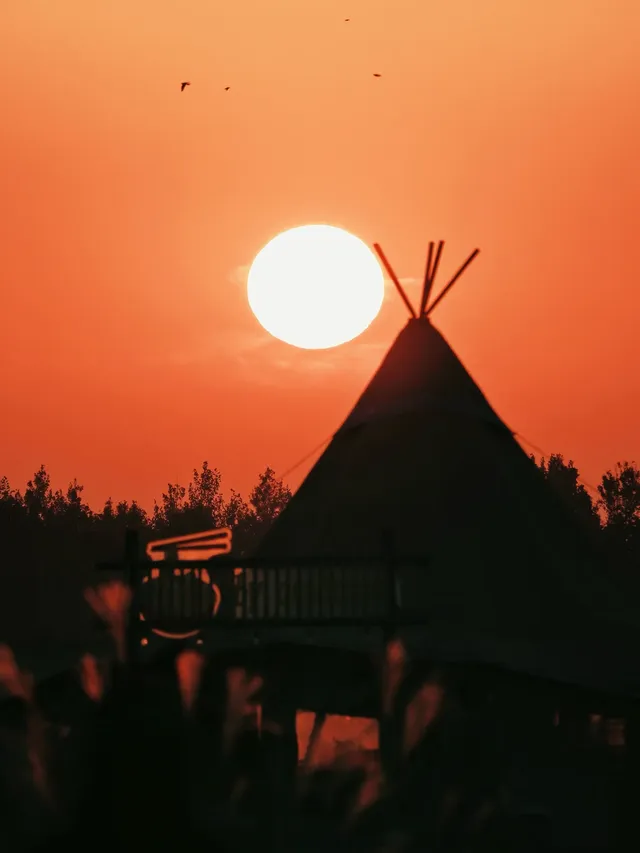 蘇州陽澄湖｜帶快樂小狗來草坪撒歡打滾