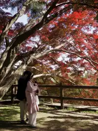 算了，和你們沒來過雄莊的人說不清楚