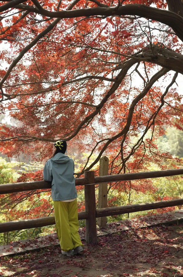 浙江徒步|古堡配紅楓跟風最成功的一次