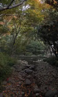 上海市中心兩小時賞秋路線