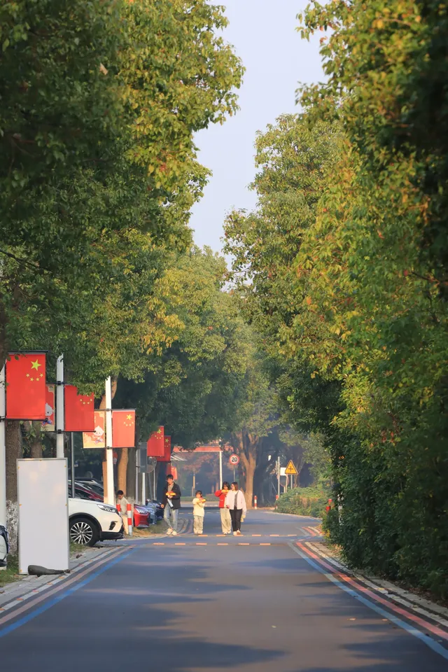 藏在金山!山陽田園的慢時光太好宅了 藏在金山!山陽田園的慢時光太好宅了