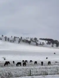 不是新疆去不起！烏蘭布統冬日秘境太香了~