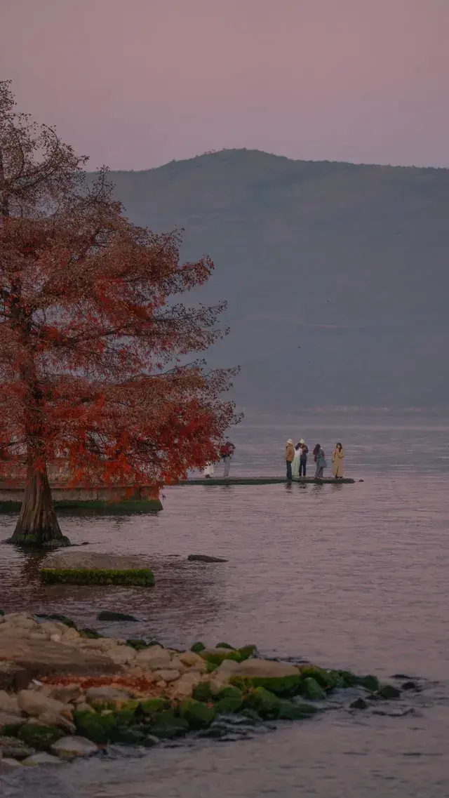 真不是AI我拍到了洱海月升PLUS 真不是AI我拍到了洱海月升PLUS