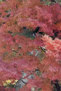 12.6 湖州秋景city walk路線