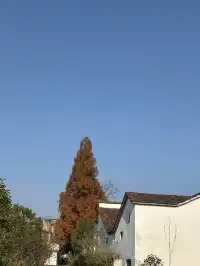 西坡staycation |淡季千島湖的打開方式